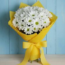 Букет цветов из:  Хризантемы #REPLACE_PRED# Иваново