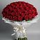 Букет 101 Красная роза Блэк Мэджик в Иваново