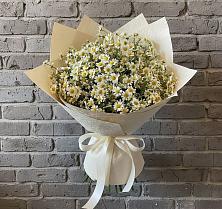 Букет цветов из:  Ромашки #REPLACE_PRED# Иваново