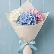 Букет цветов из:  Гортензия в Иваново