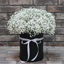 Цветочная композиция из Гипсофила в шляпной коробке в Иваново