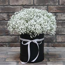Цветочная композиция из Гипсофила в шляпной коробке в Иваново
